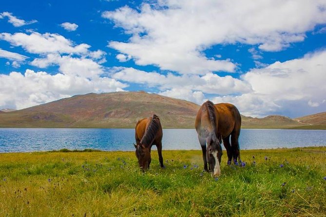 horses-grazing-by-lake-mountain-scenery.jpg